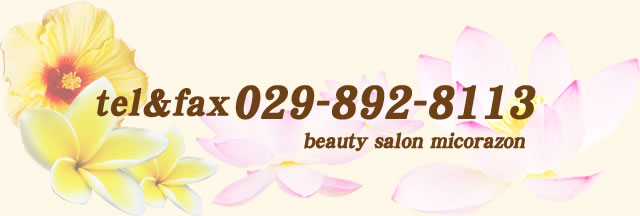 tel fax 029-892-8113 beauty salon micorazon